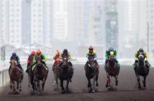 Sha Tin Tips on October 25th - Big night tipped for Teetan