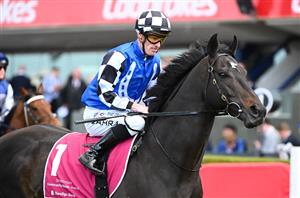 Cox Plate Tips - Runner-by-Runner Guide to the Moonee Valley Group 1 feature