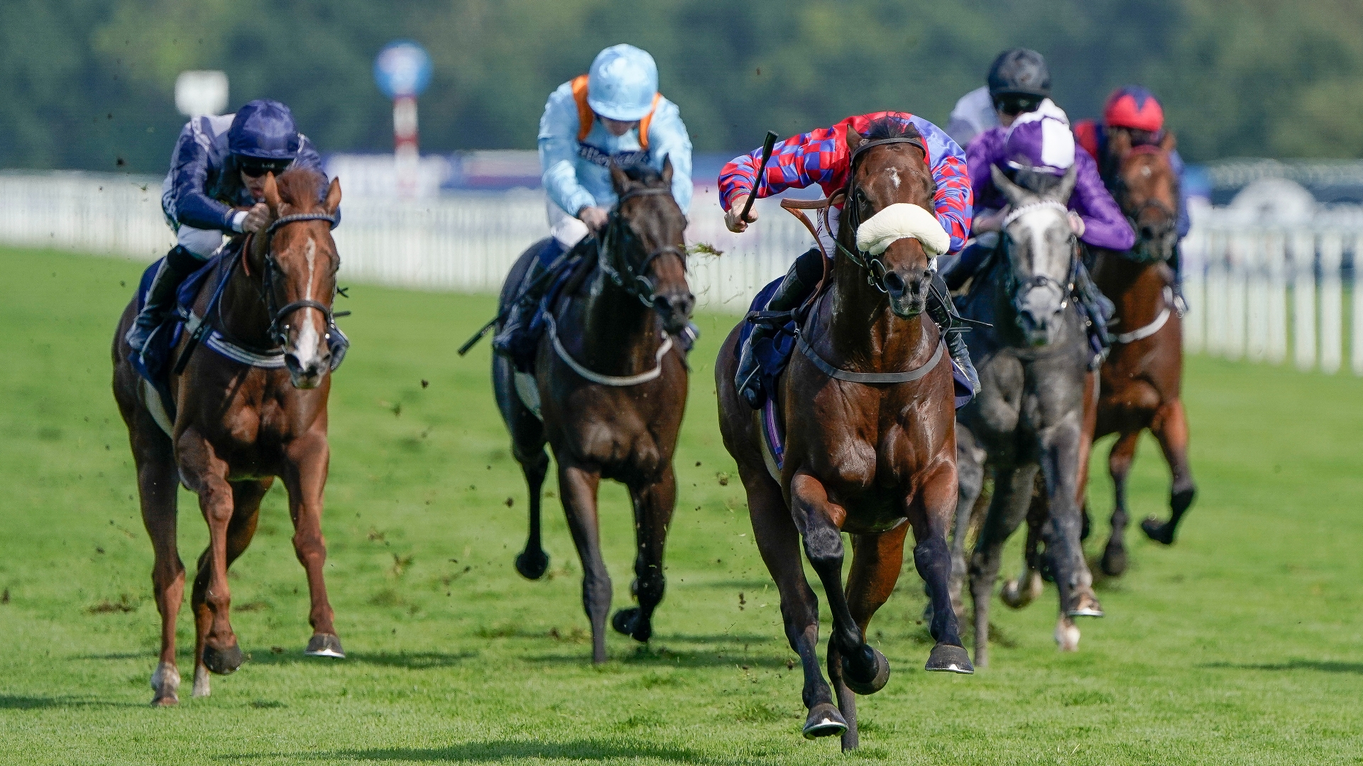 Racing News | Big Evs has Appleby dreaming ahead of Breeders' Cup