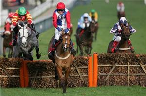 Sharp novices hurdle cheltenham