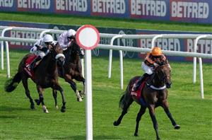 2023 Futurity Trophy Tips - Teal's star can Dance to Group One glory
