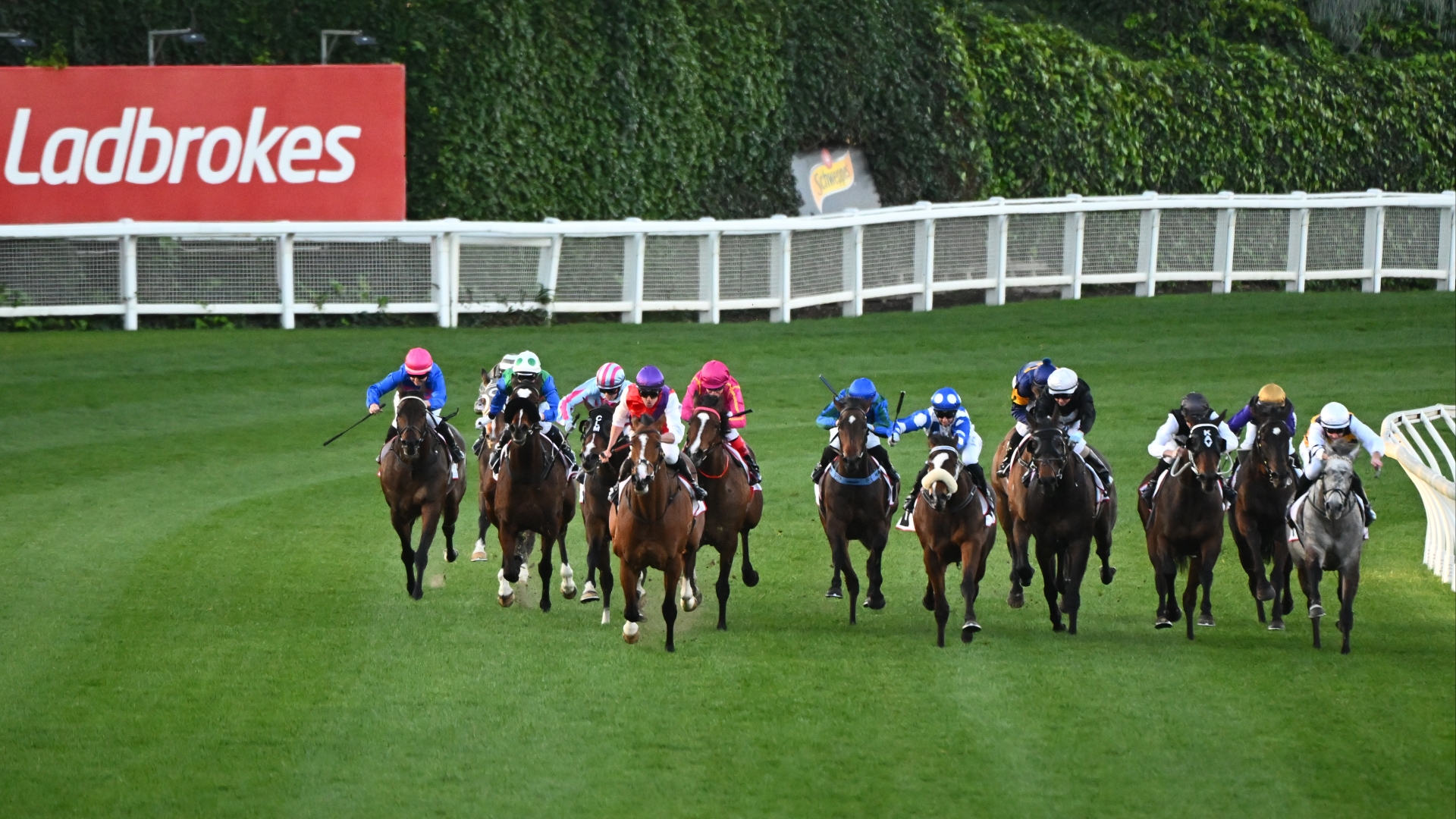 Moonee Valley Tips Best & Value Bets for Cox Plate Day on October 28