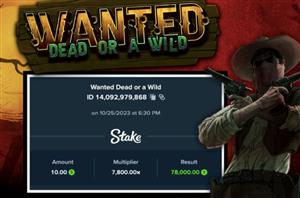 Stake.us - Wanted Dead or a Wild Big Win