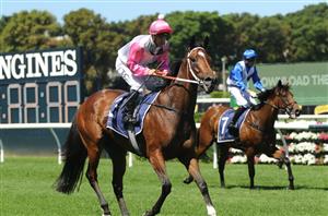 Empire Rose Stakes Odds - Hope In Your Heart heads competitive betting heat