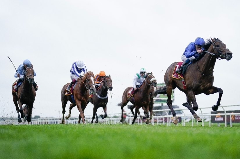 2024 Futurity Trophy News Dates and vital information.