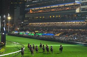 Happy Valley Tips on November 1st - Gallant to break a drought