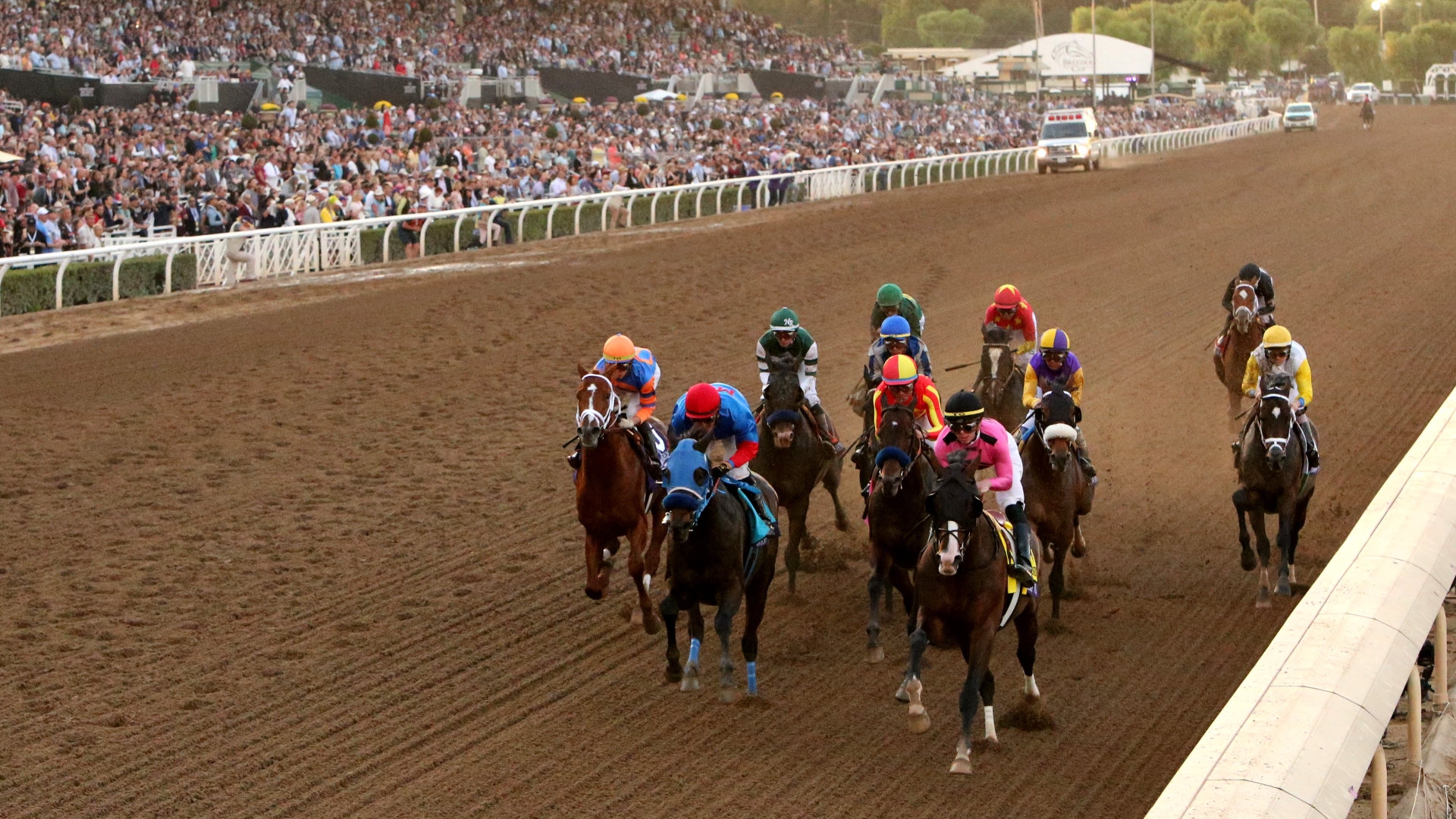 2023 Breeders' Cup Live Stream Watch every race from Santa Anita live