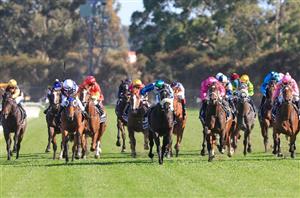 Rosehill Betting Tips for November 4, 2023 - Race-By-Race preview for Golden Eagle day