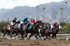 Breeders' Cup 2023 Tips - Peter Fornatale's Day 1 Selections