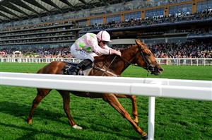 Melbourne Cup Tips & Preview - Vauban is the one to beat at Flemington