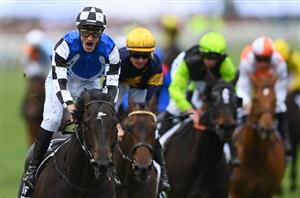 Melbourne Cup Runners - Tips, Predictions & Analysis for all 24 runners