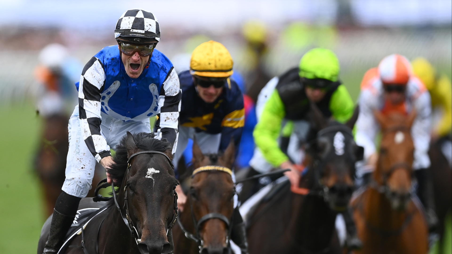 Melbourne Cup Tips RunnerbyRunner Guide for all contenders