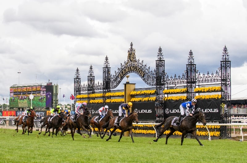 Melbourne Cup Live Stream How to watch the 2023 Melbourne Cup