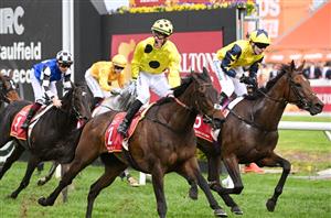 Big Bets for 07.11.2023