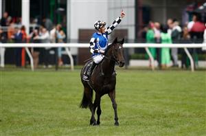 How To Bet On Gold Trip to Win The Melbourne Cup - How To Get 8.00