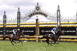 Latest Melbourne Cup Tips - Top three selections to win the Race That Stops A Nation