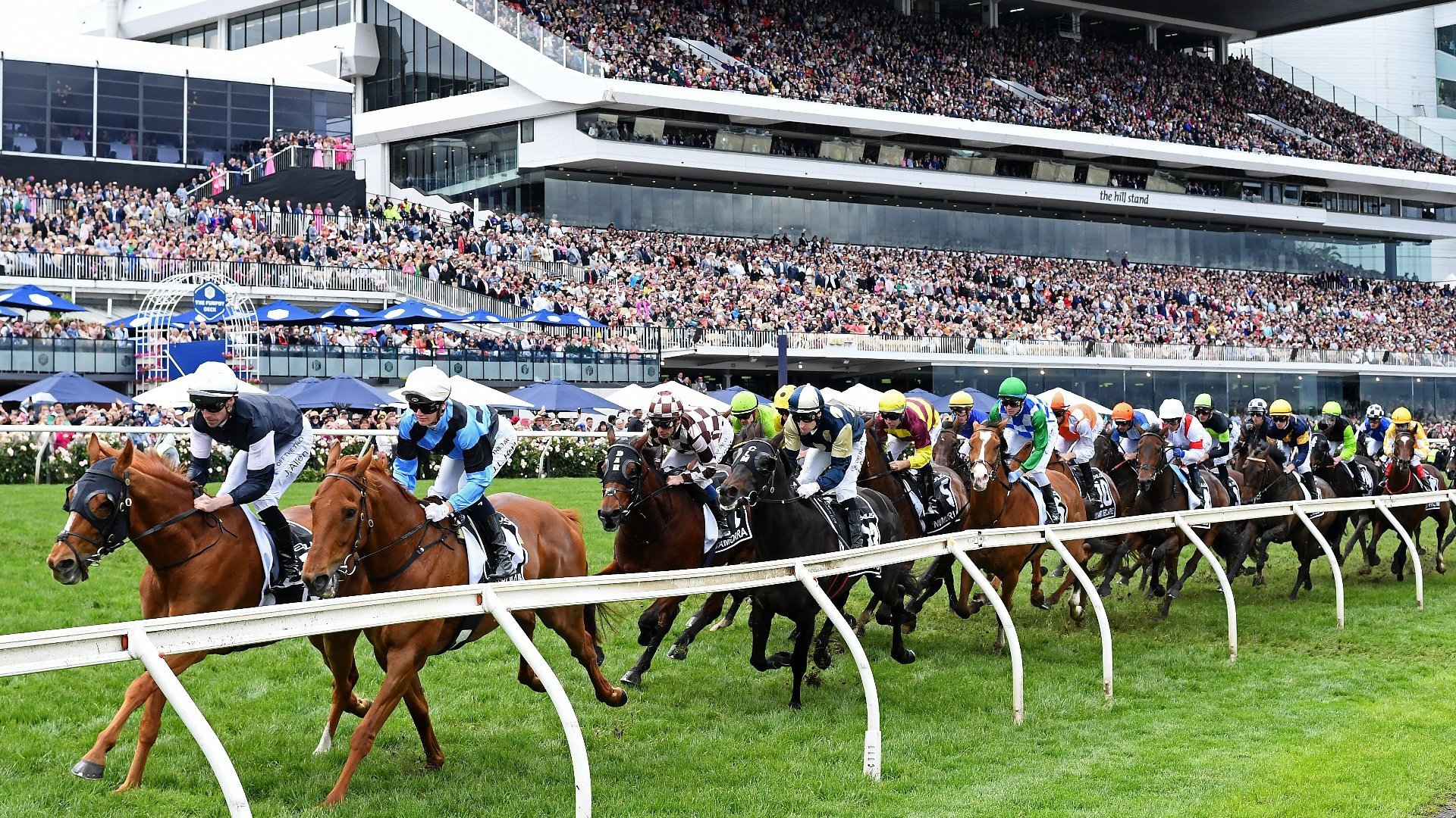 Melbourne Cup Day Tips & Preview Racebyrace verdicts for Flemington