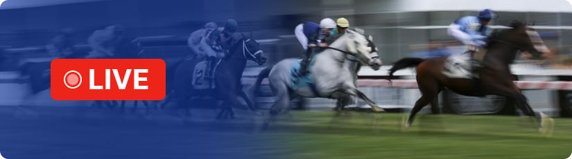 horse-racing-live-stream