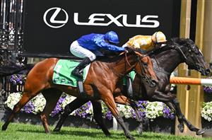 VRC Oaks Betting Odds - Zardozi supported following the Wakeful
