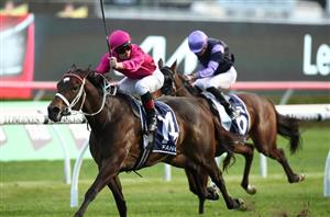 Champions Mile Tips & Preview - Fangirl to claim Flemington Group 1