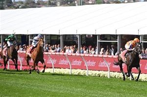 Champions Sprint Tips & Preview - Kiwi star to shine at Flemington