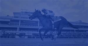 Day two of the Breeders' Cup at Keeneland (Pictures)