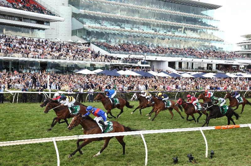 Flemington Betting Tips for November 11, 2023 RaceByRace preview