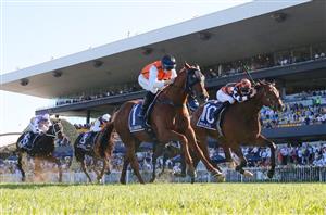 Rosehill Betting Tips for November 11, 2023 - Race-By-Race preview for Five Diamonds day