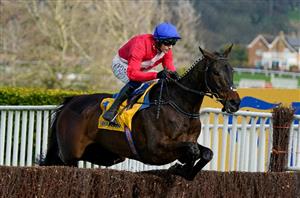 "His engine looks to be there" - Allaho returns with a win at Clonmel