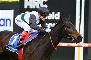 Champions Mile Tips - Mr Brightside backed in Flemington Group 1