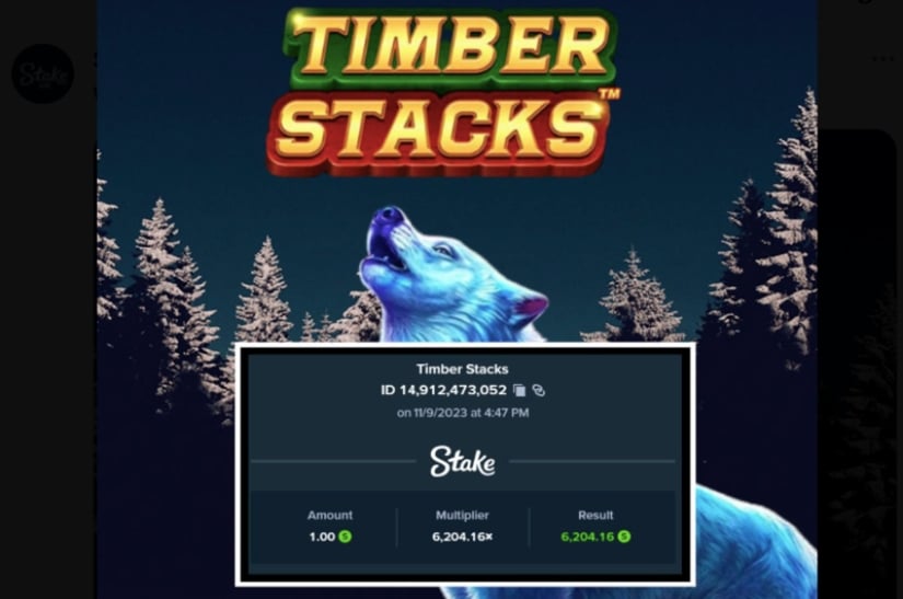 Stake.us Timber Stacks big win