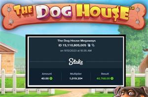 Stake.us The Dog House Big Win