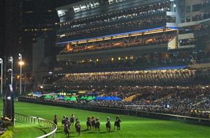Happy Valley Tips on November 15th - Chibi to impress again