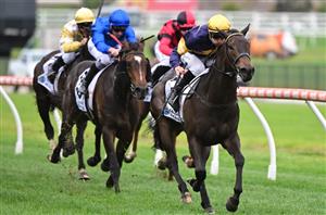 Thousand Guineas Tips - Star fillies clash with Coeur Volante tipped for glory