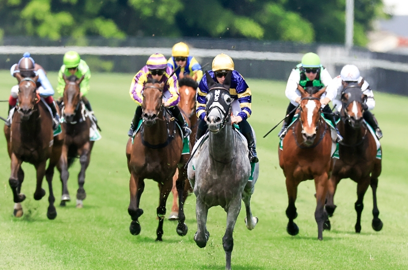 Newcastle Tips Best & Value Bets for November 18