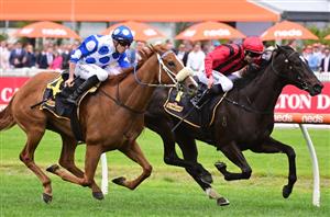 Caulfield Tips - Best & Value Bets for Thousand Guineas Day on November 18