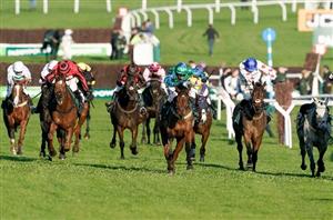 ga law cheltenham