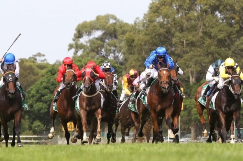 Ipswich Betting Tips for November 17, 2023 Marshal to salute