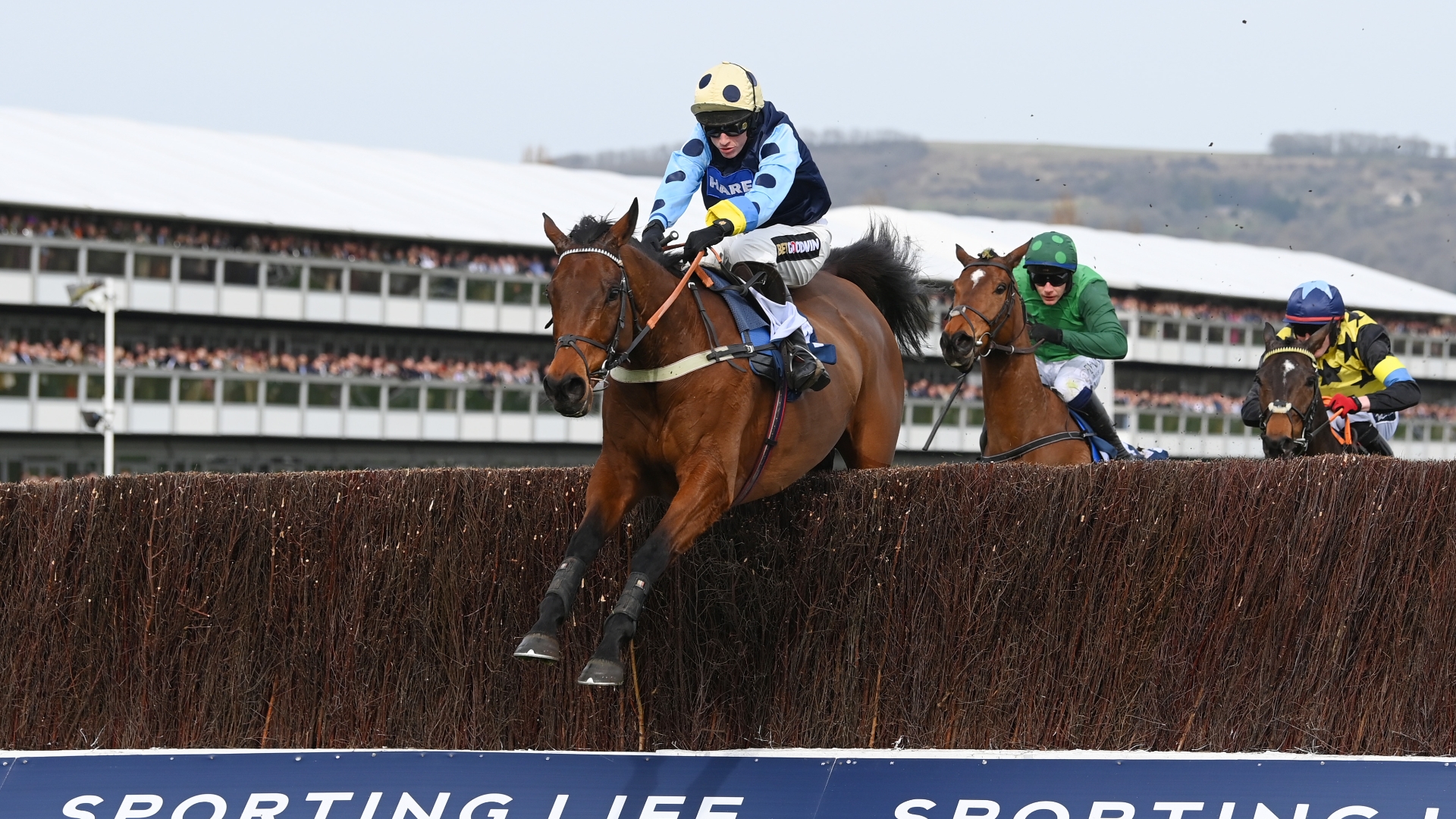 ITV Racing Tips on November 19th Sunday