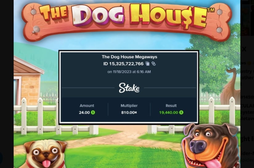 Dog House Big Win Stake.us