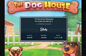 Dog House Big Win Stake.us