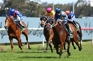 Railway Stakes Betting Odds - Interstate raiders are favoured