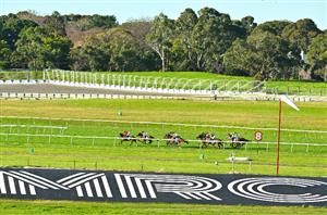 Sandown Betting Tips for November 22, 2023 - Selections feature early