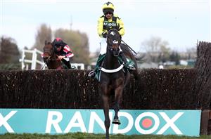 "The ground at Ascot will be preferable" - Shishkin to bypass Betfair Chase