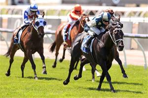Railway Stakes Tips & Preview - Local mares fancied for victory at Ascot