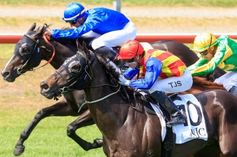 Ipswich Betting Tips for November 23, 2023 Gamble to land fresh