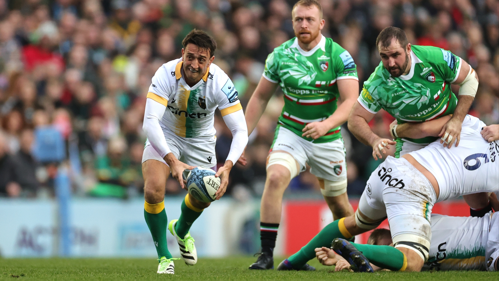 Northampton vs Harlequins Predictions & Tips Northampton to prevail