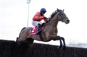2023 Betfair Chase Tips - Nicholls to conquer Haydock once again