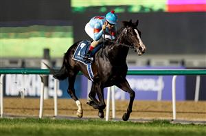 2023 Japan Cup Odds - Equinox odds-on to score at Tokyo