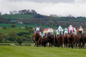 punchestown hurdle